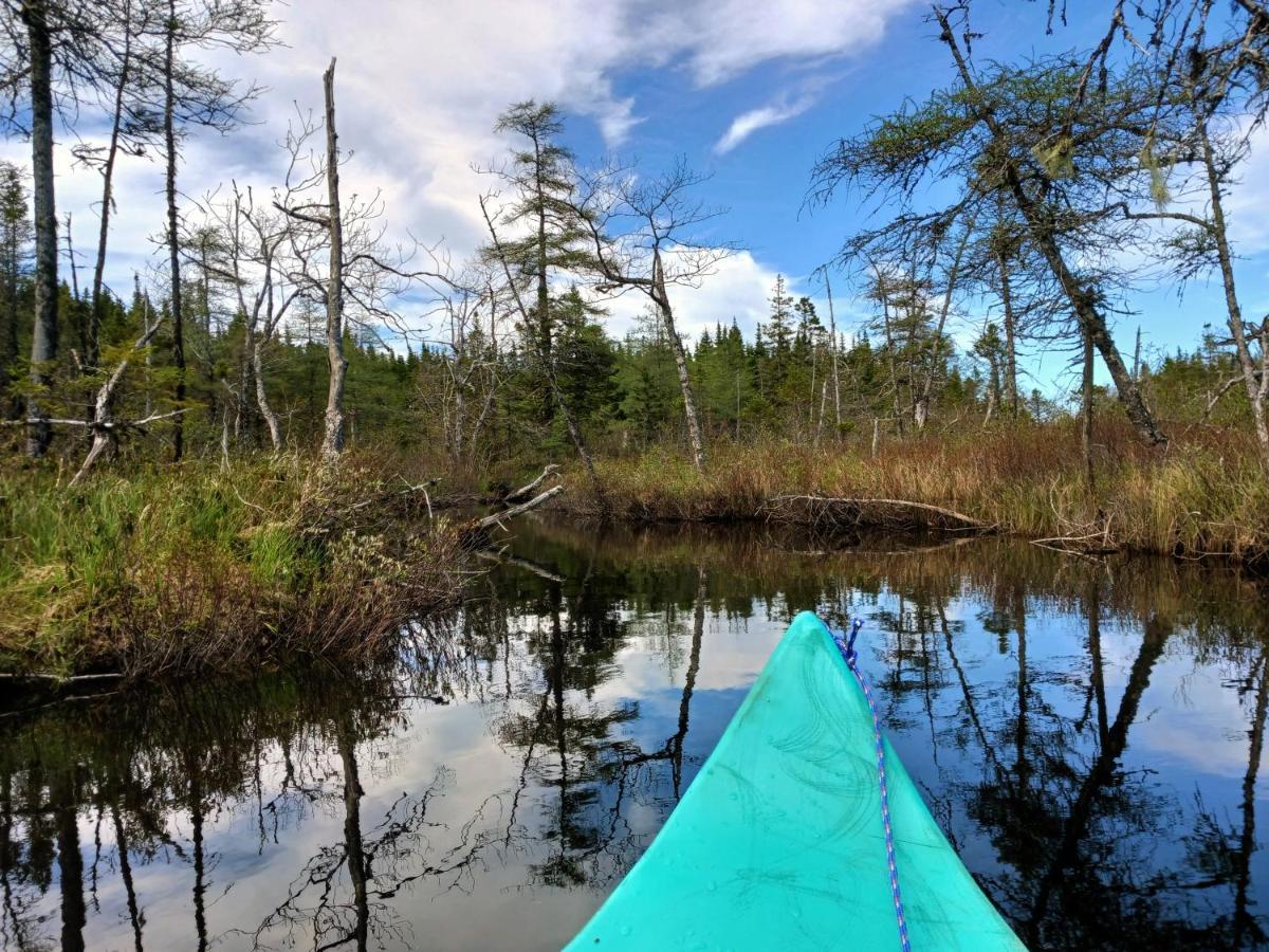 Fiddler'S Lake Escape Gabarus Екстериор снимка