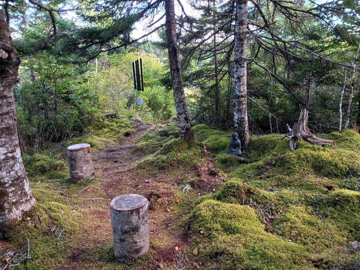 Fiddler'S Lake Escape Gabarus Екстериор снимка