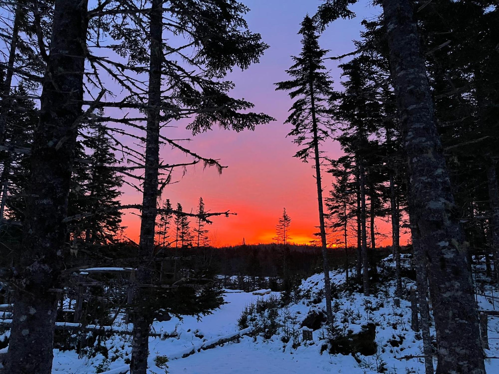 Fiddler'S Lake Escape Gabarus Екстериор снимка